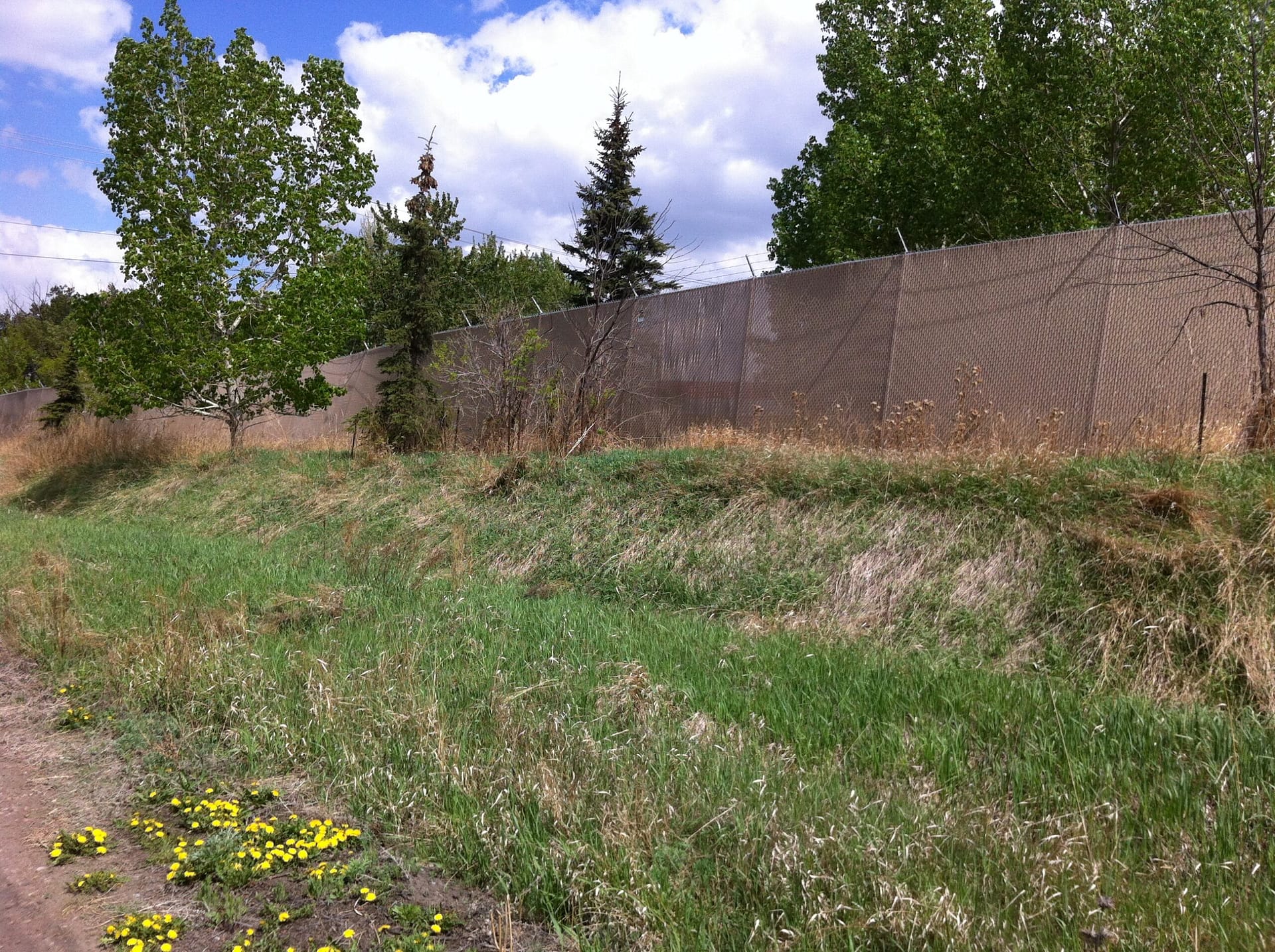 chain-link fence with privacy slats graffiti removal in Calgary
