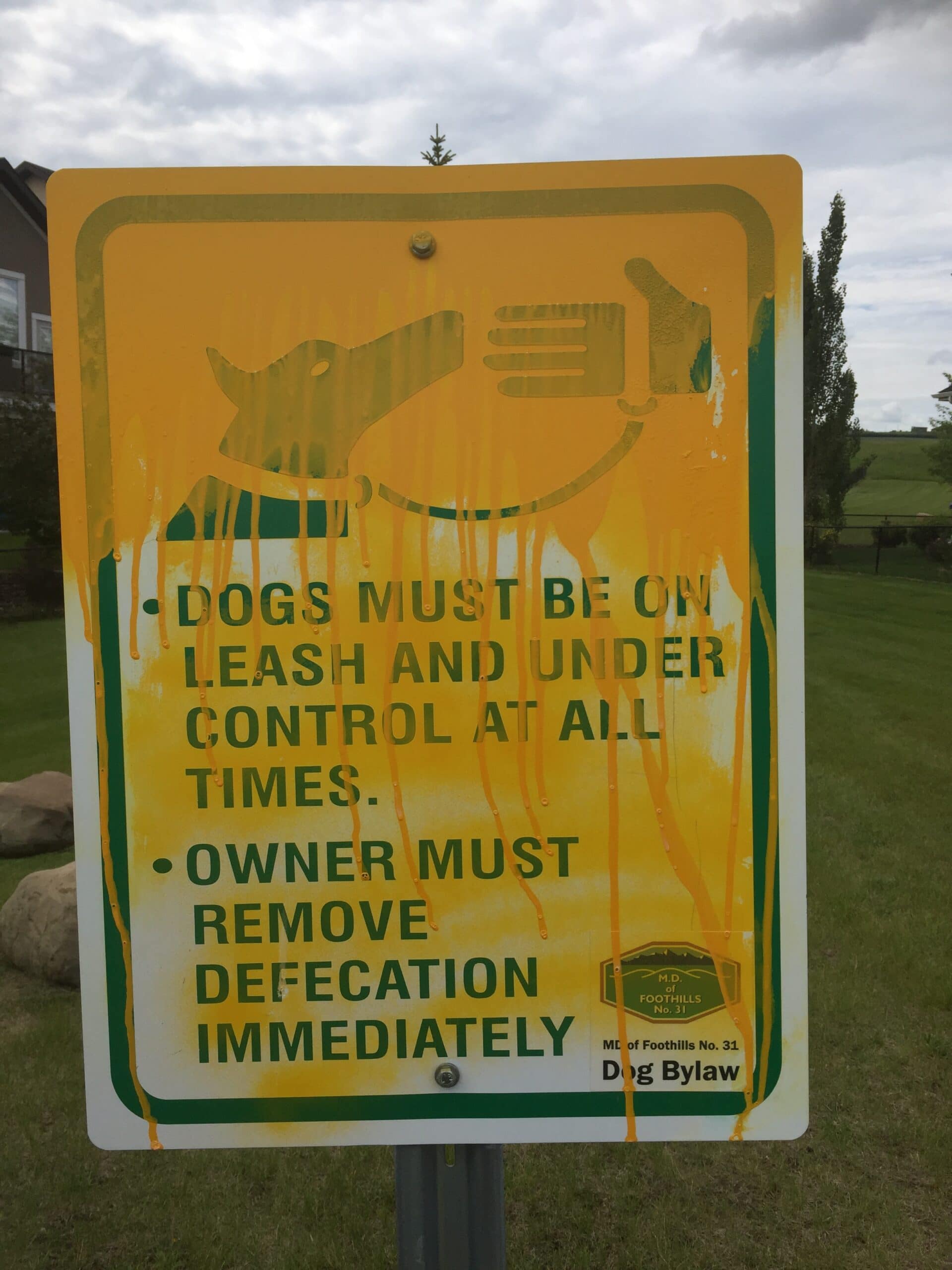 Dog Bylaw sign graffiti removal Calgary